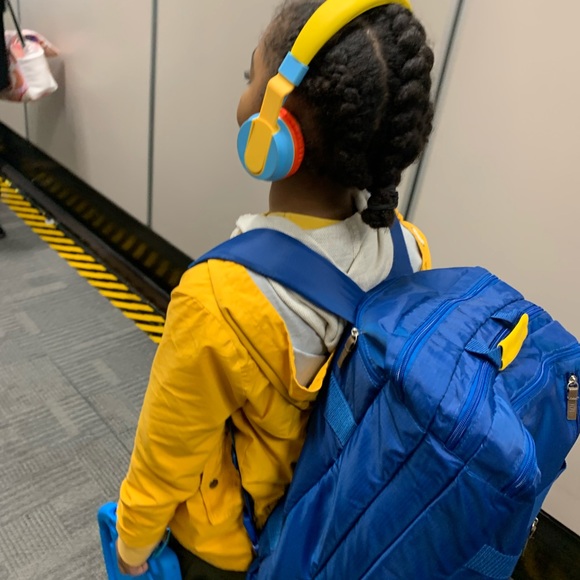 Yellow jacket - Picture 1 of 2